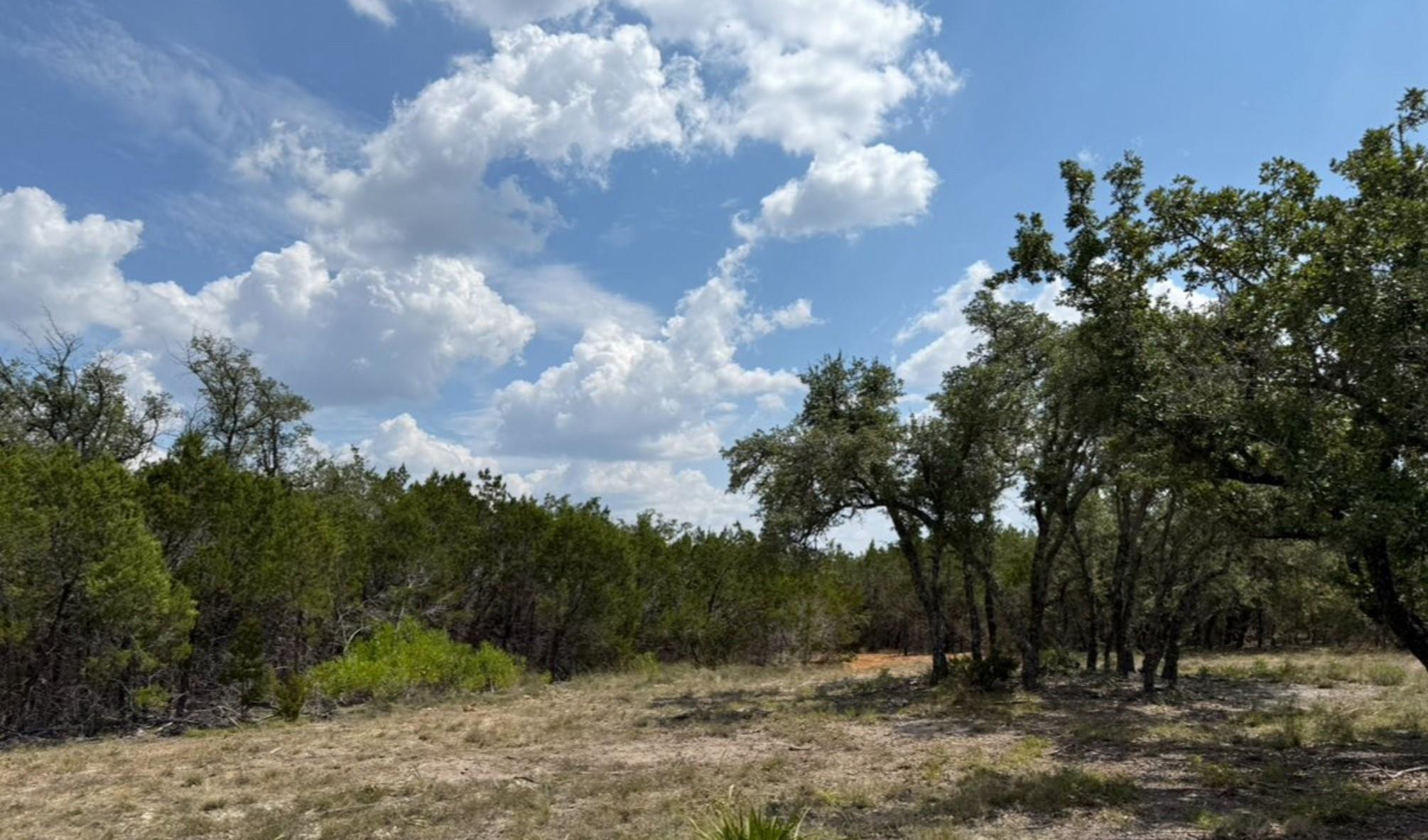 Lot 36 - 6.65 Acres - Round Mountain Reserve Dr, Round Mountain, TX 78663