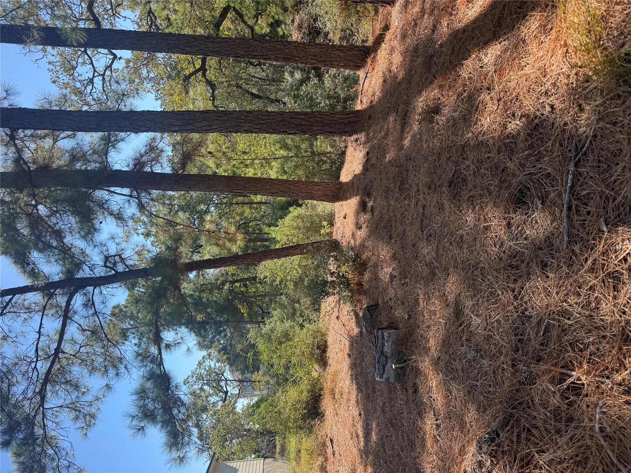 Lot 97 Kaelepulu Dr, Bastrop, TX 78602