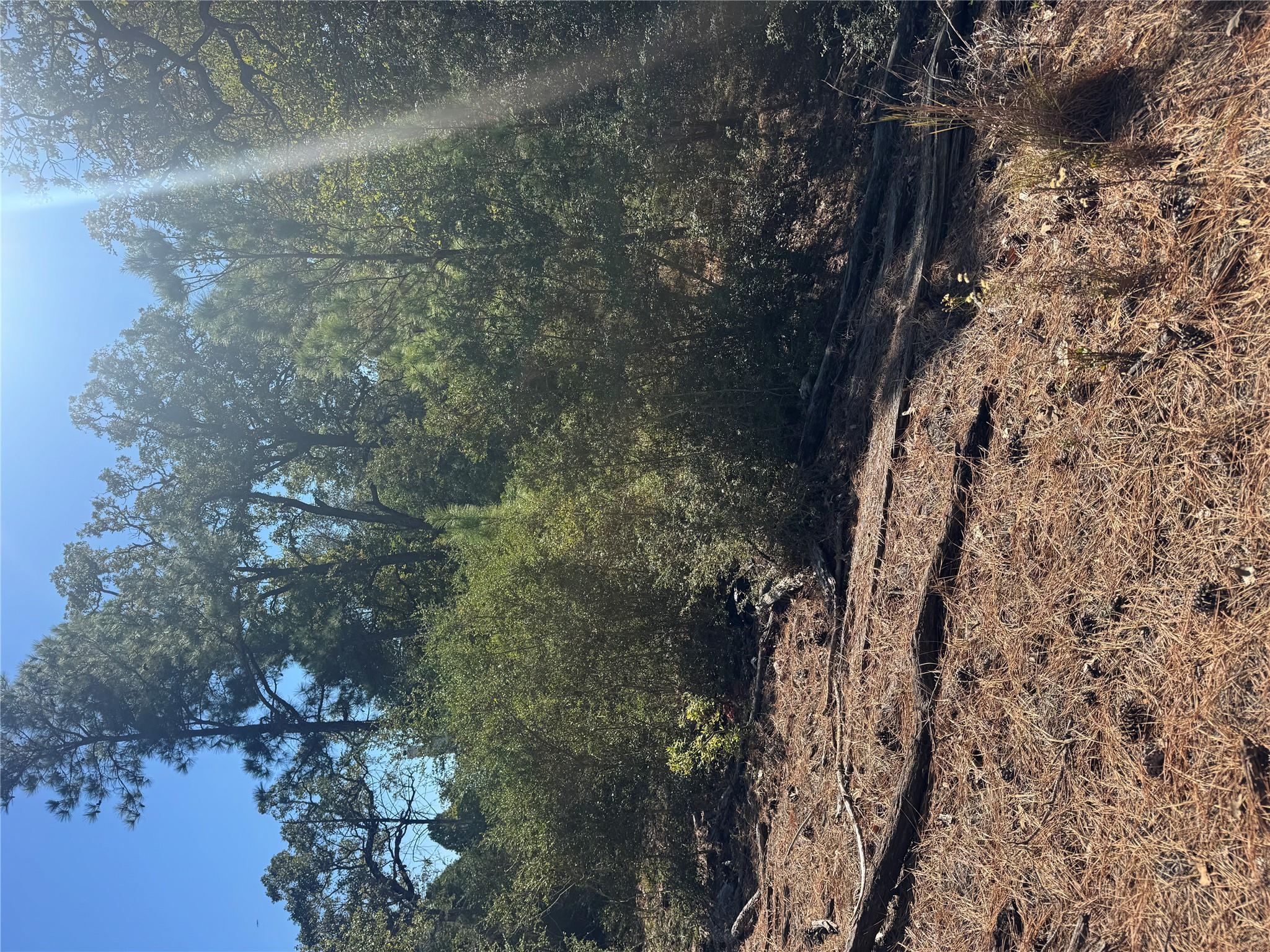 Lot 97 Kaelepulu Dr, Bastrop, TX 78602