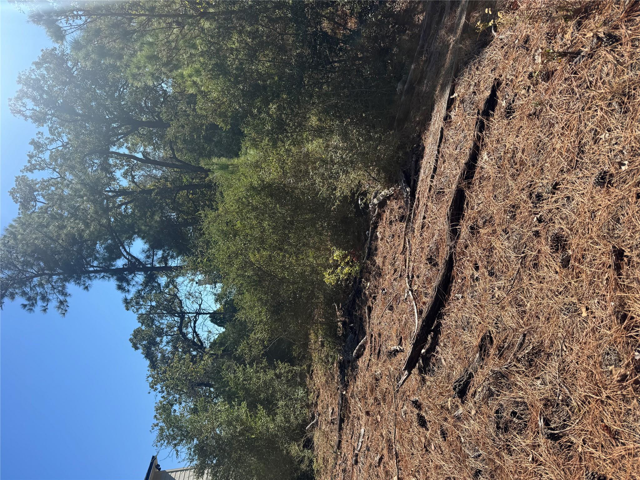 Lot 97 Kaelepulu Dr, Bastrop, TX 78602