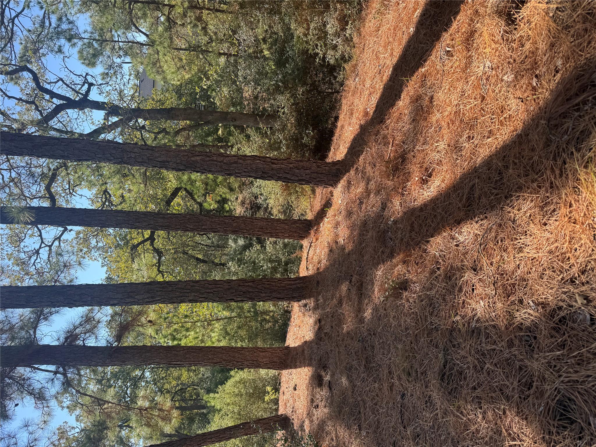 Lot 97 Kaelepulu Dr, Bastrop, TX 78602