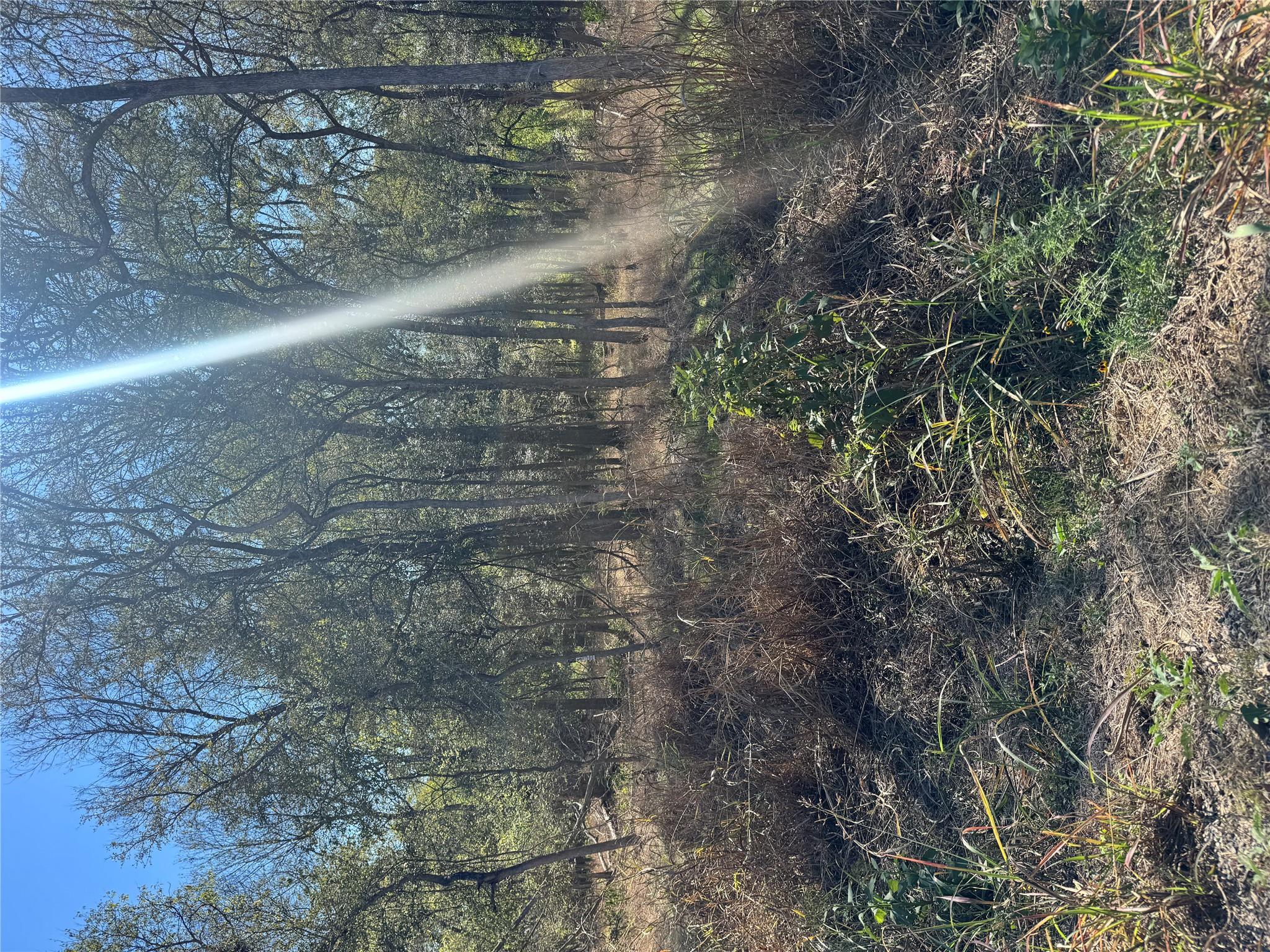 221 Kahana Ln, Bastrop, TX 78602