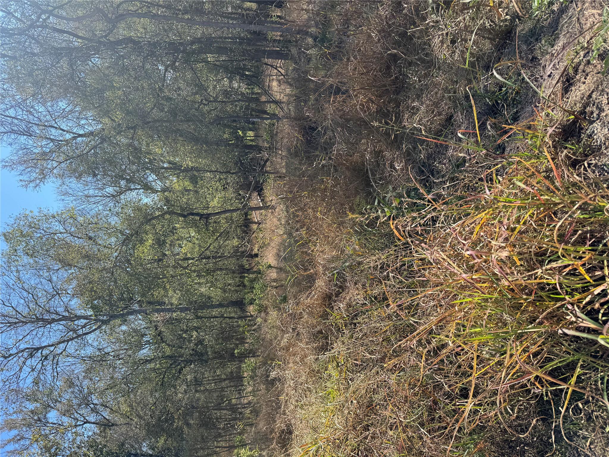 221 Kahana Ln, Bastrop, TX 78602