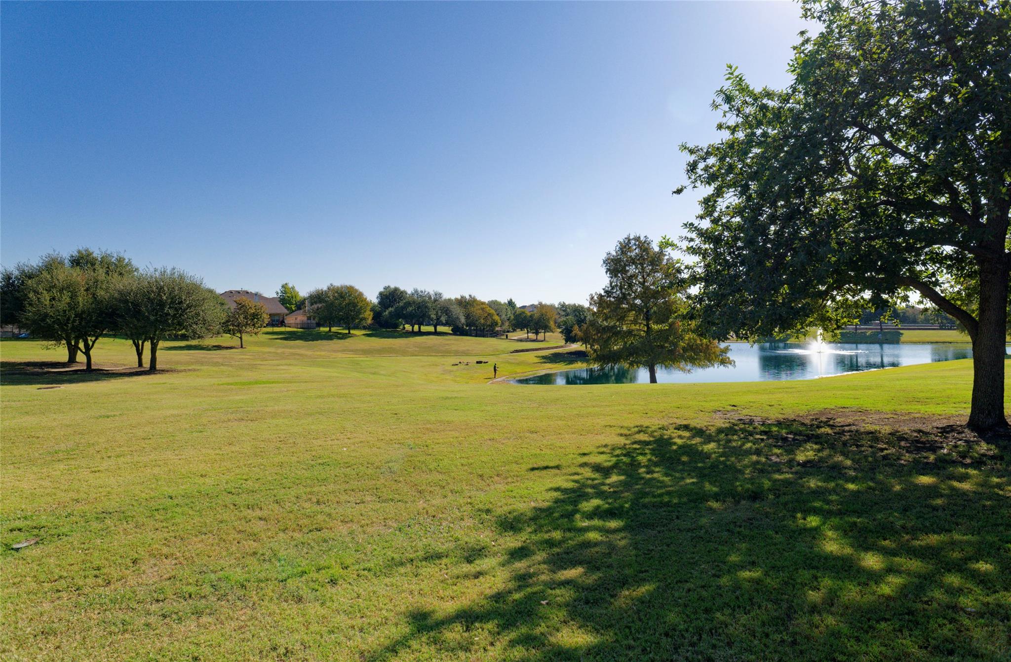1995 Canyon Sage Path, Round Rock, TX 78665