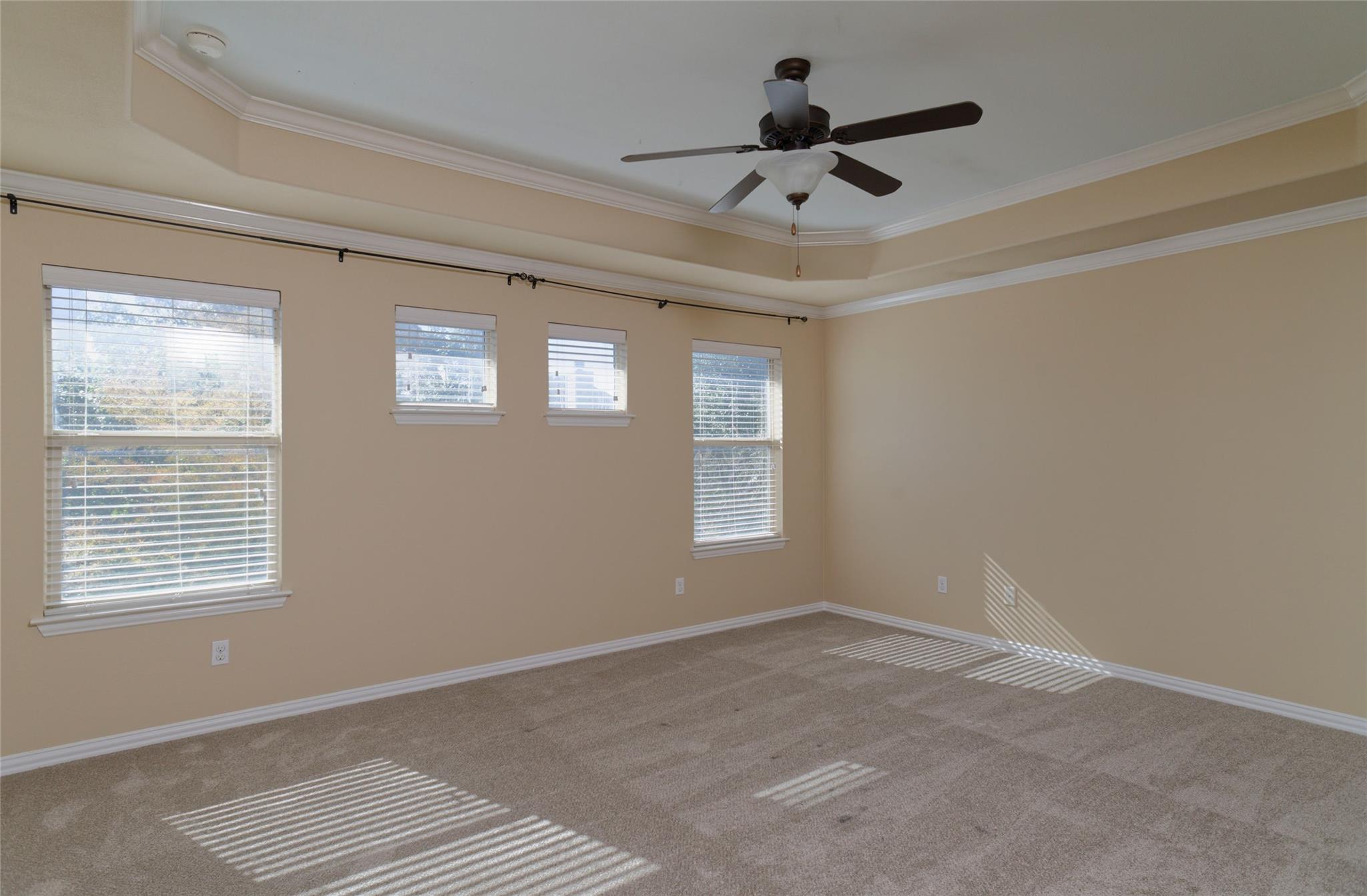 1995 Canyon Sage Path, Round Rock, TX 78665