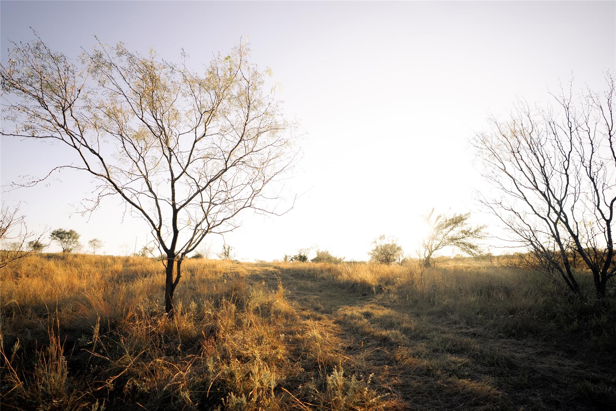 247 E Fm 581 Highway, Lometa, TX 76853