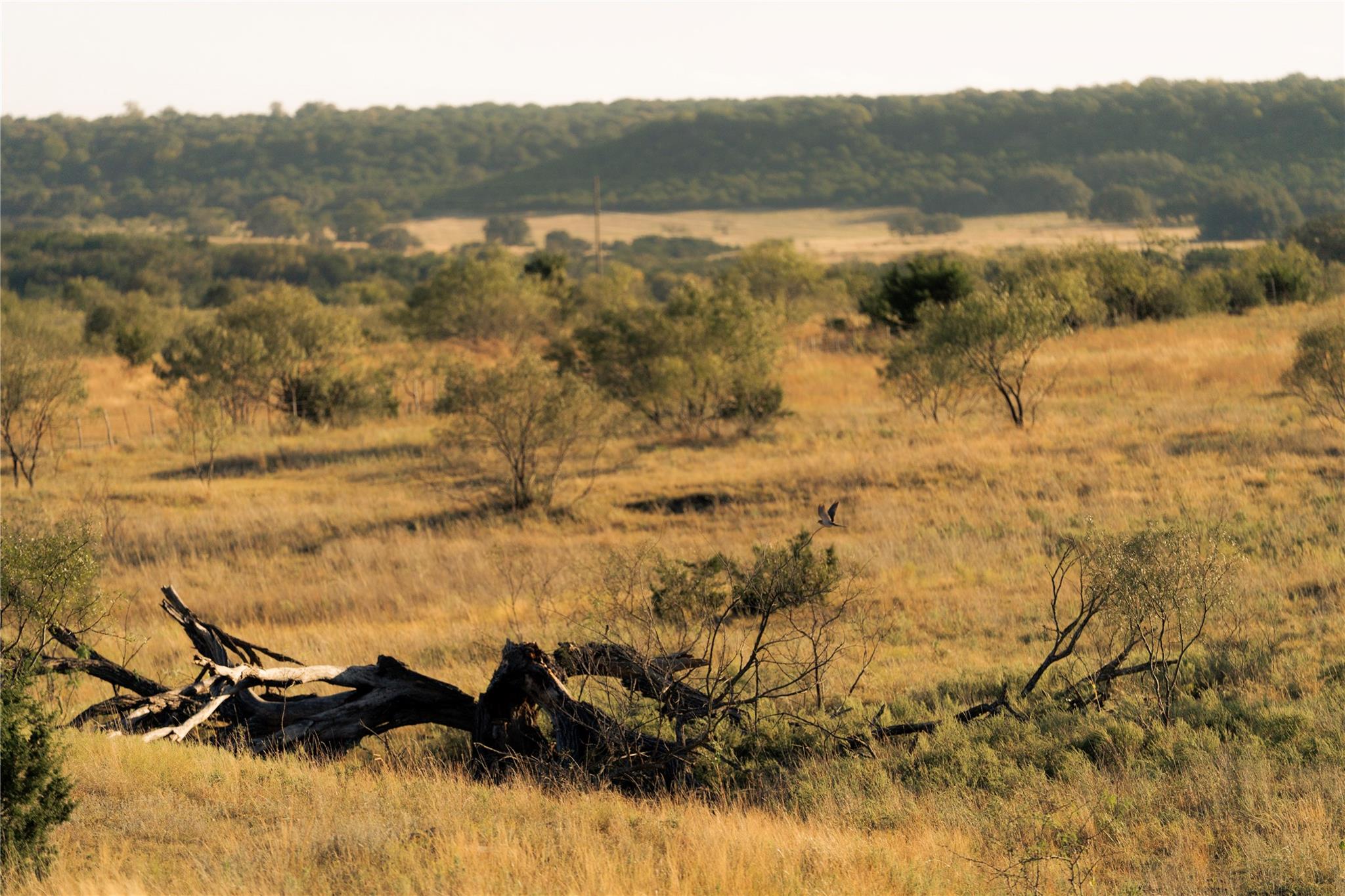 247 E Fm 581 Highway, Lometa, TX 76853