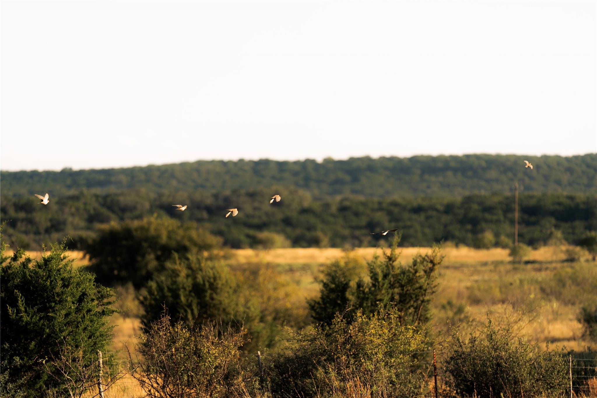 247 E Fm 581 Highway, Lometa, TX 76853