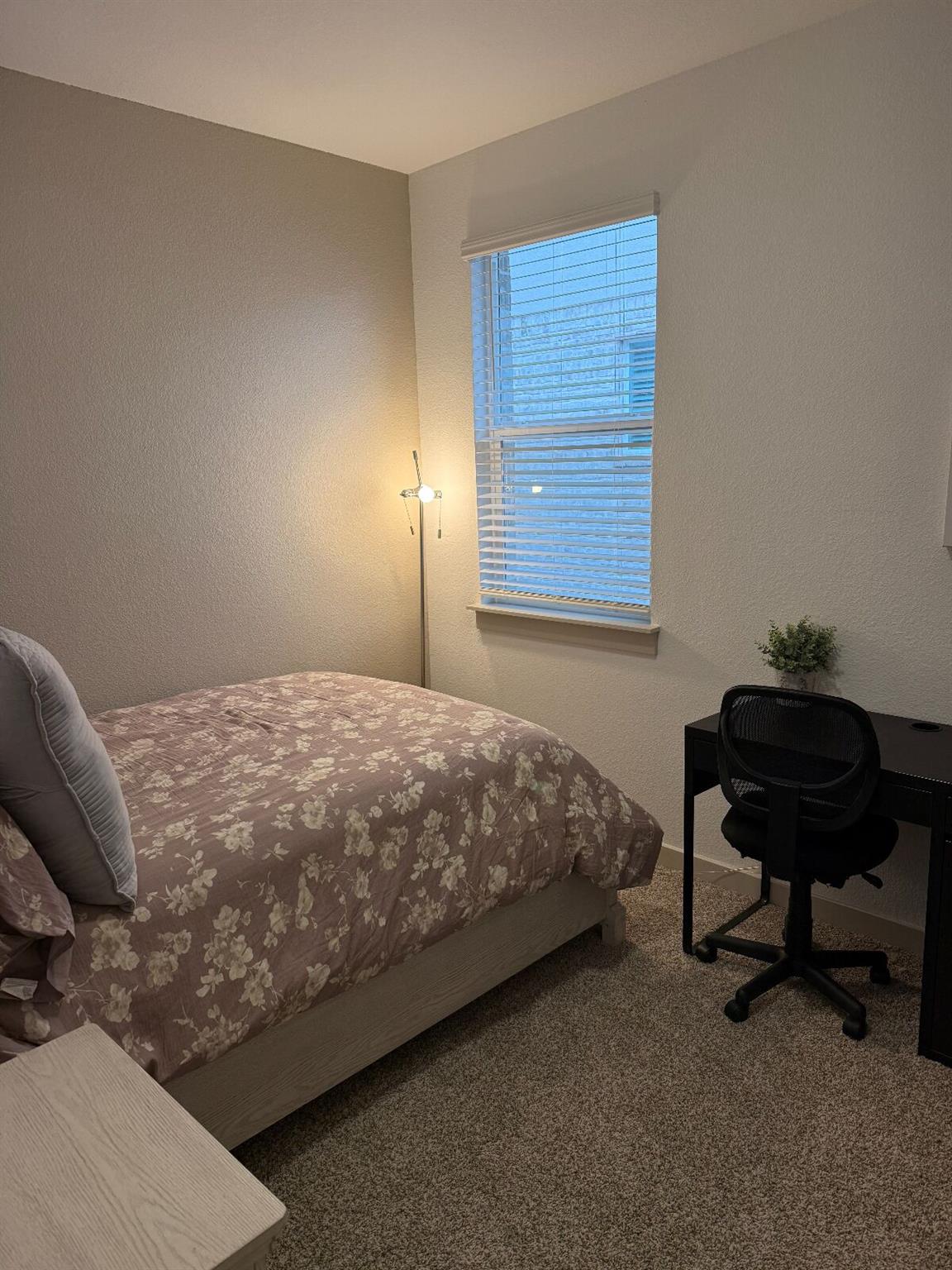 2036 Centerline Ln, Georgetown, TX 78628