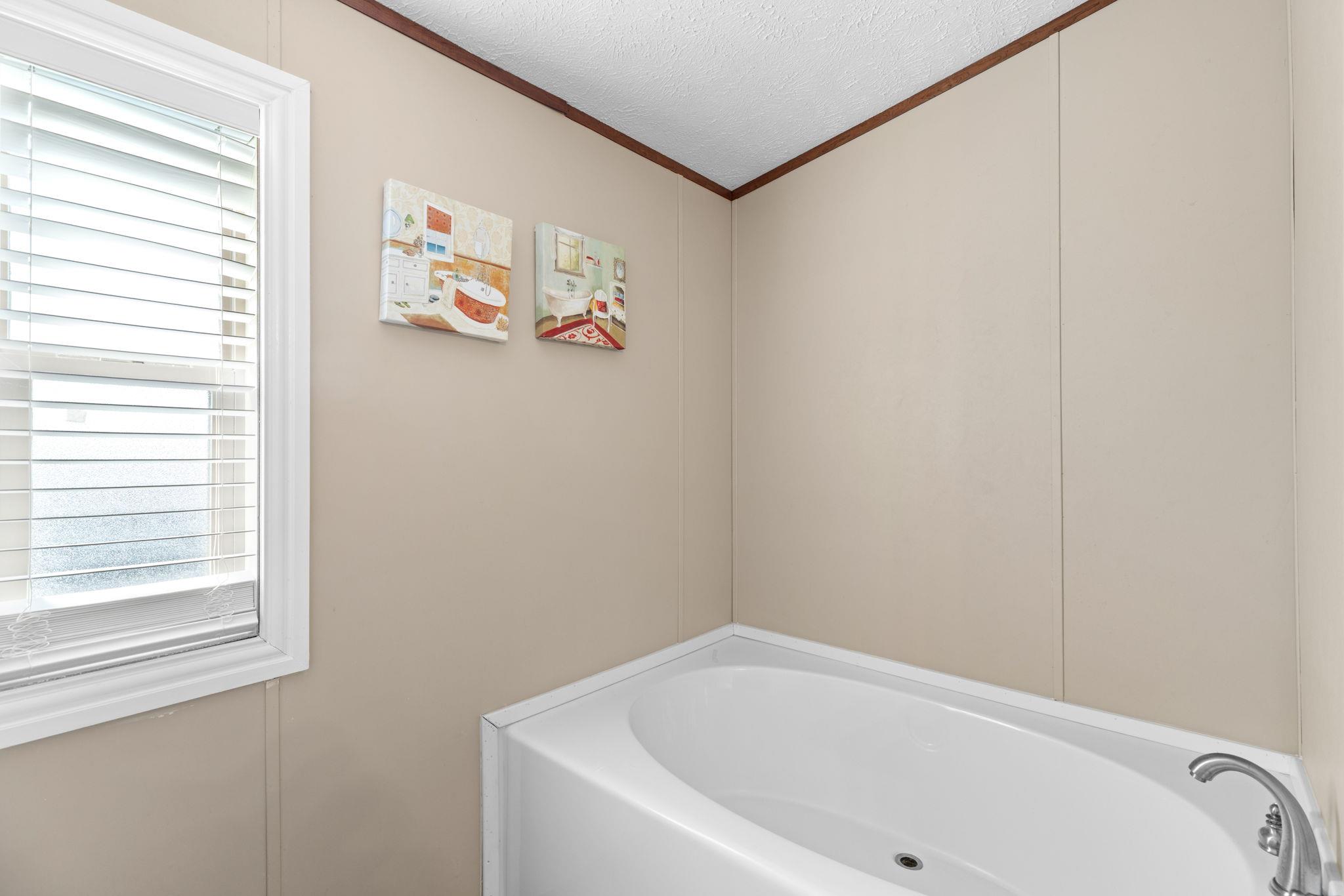 195 Gato Rd, Cedar Creek, TX 78612