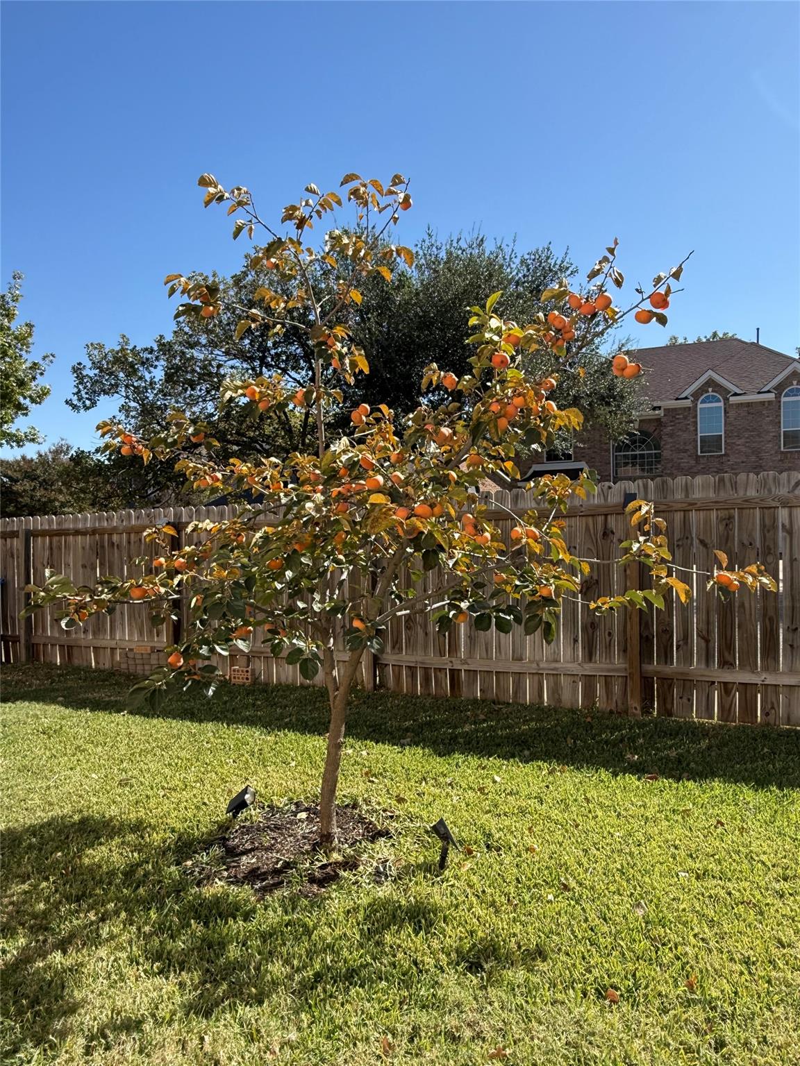 18000 Dansworth Cv, Pflugerville, TX 78660