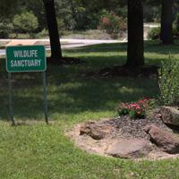 157 Campfire Way, Smithville, TX 78957