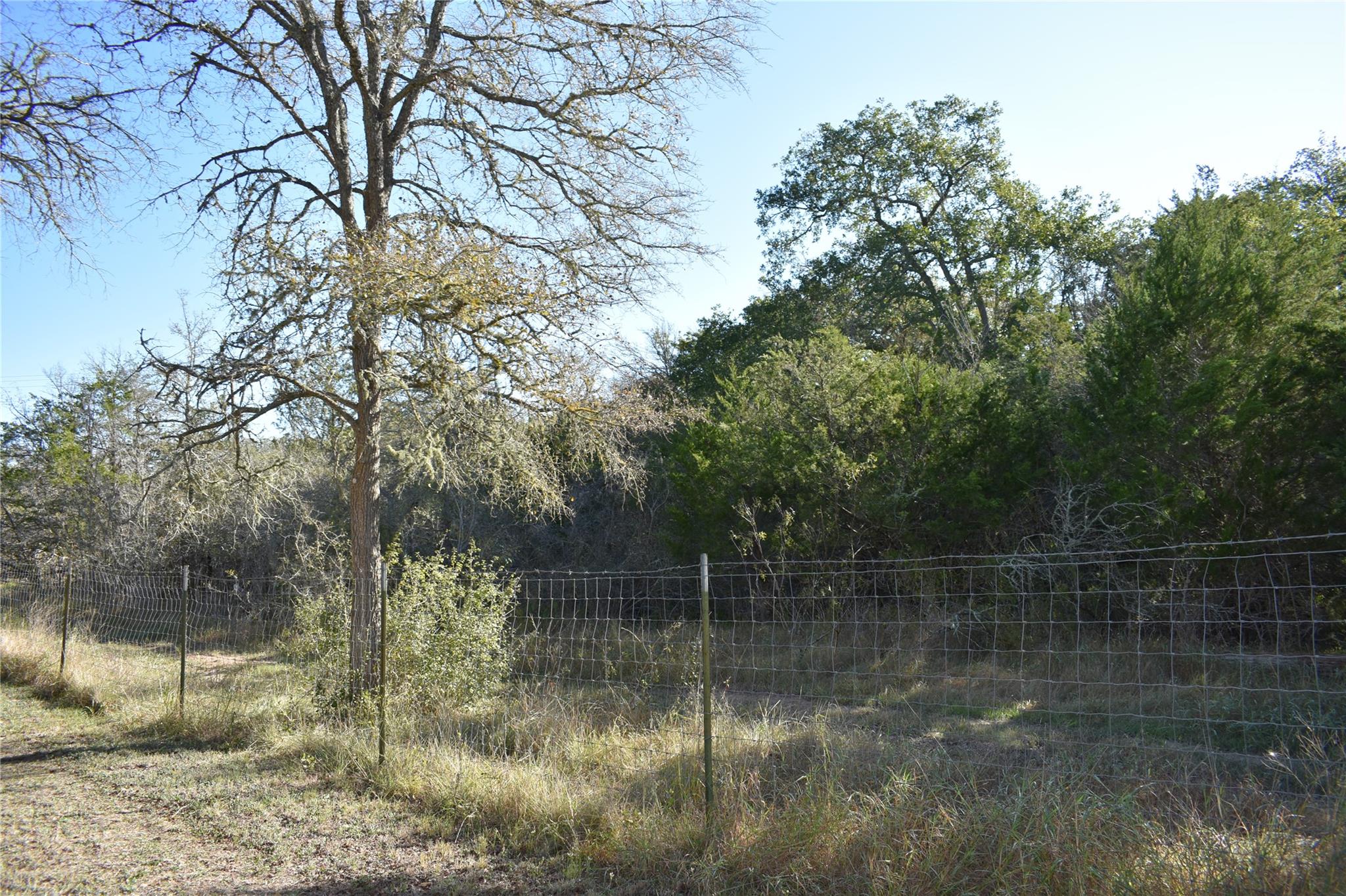 399 Pope Bend N., Cedar Creek, TX 78612