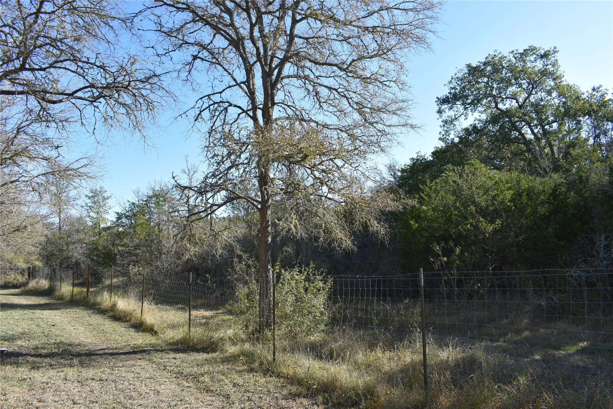 399 Pope Bend N., Cedar Creek, TX 78612