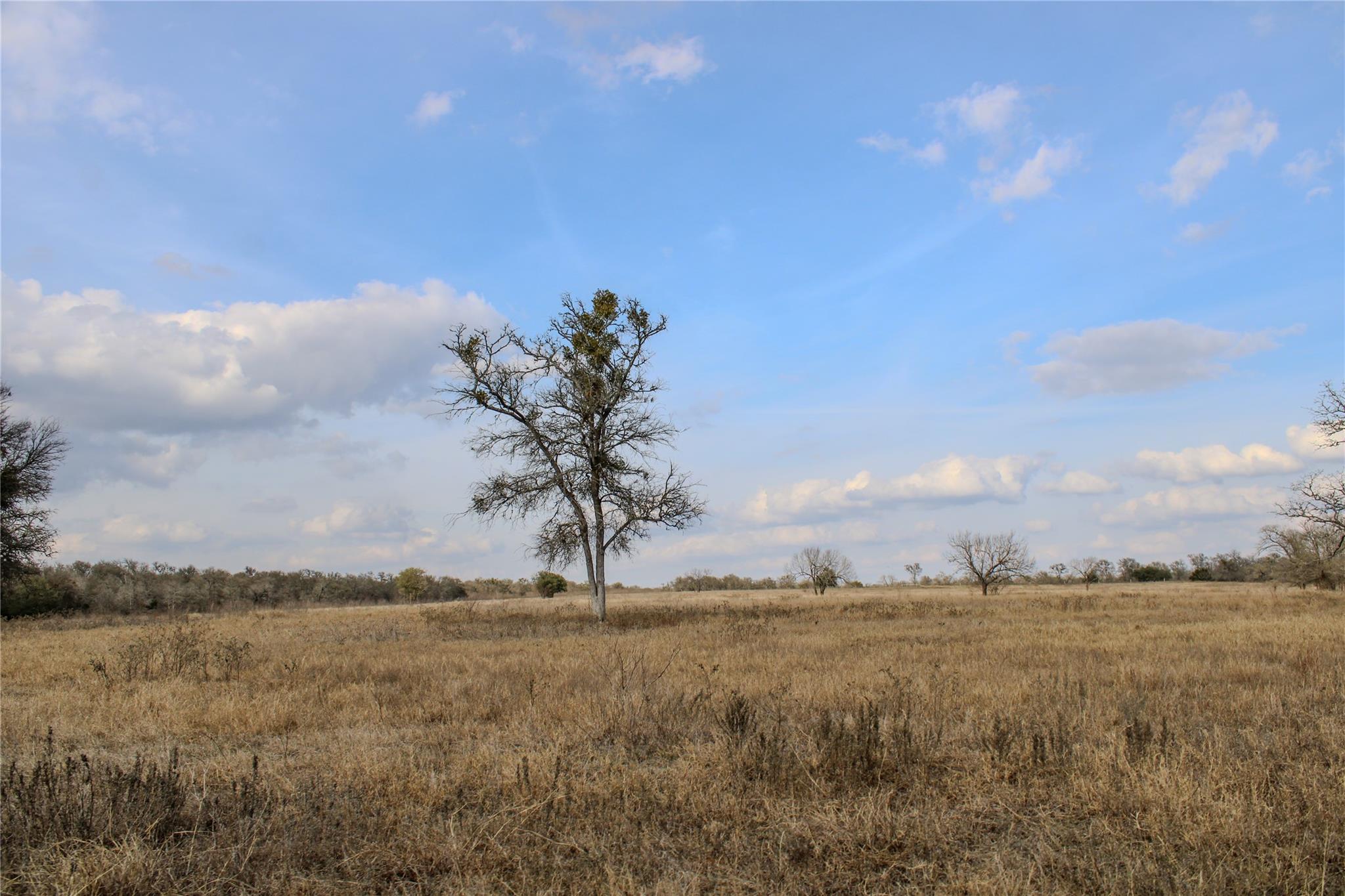 158 Synergy Dr # C, Bastrop, TX 78602