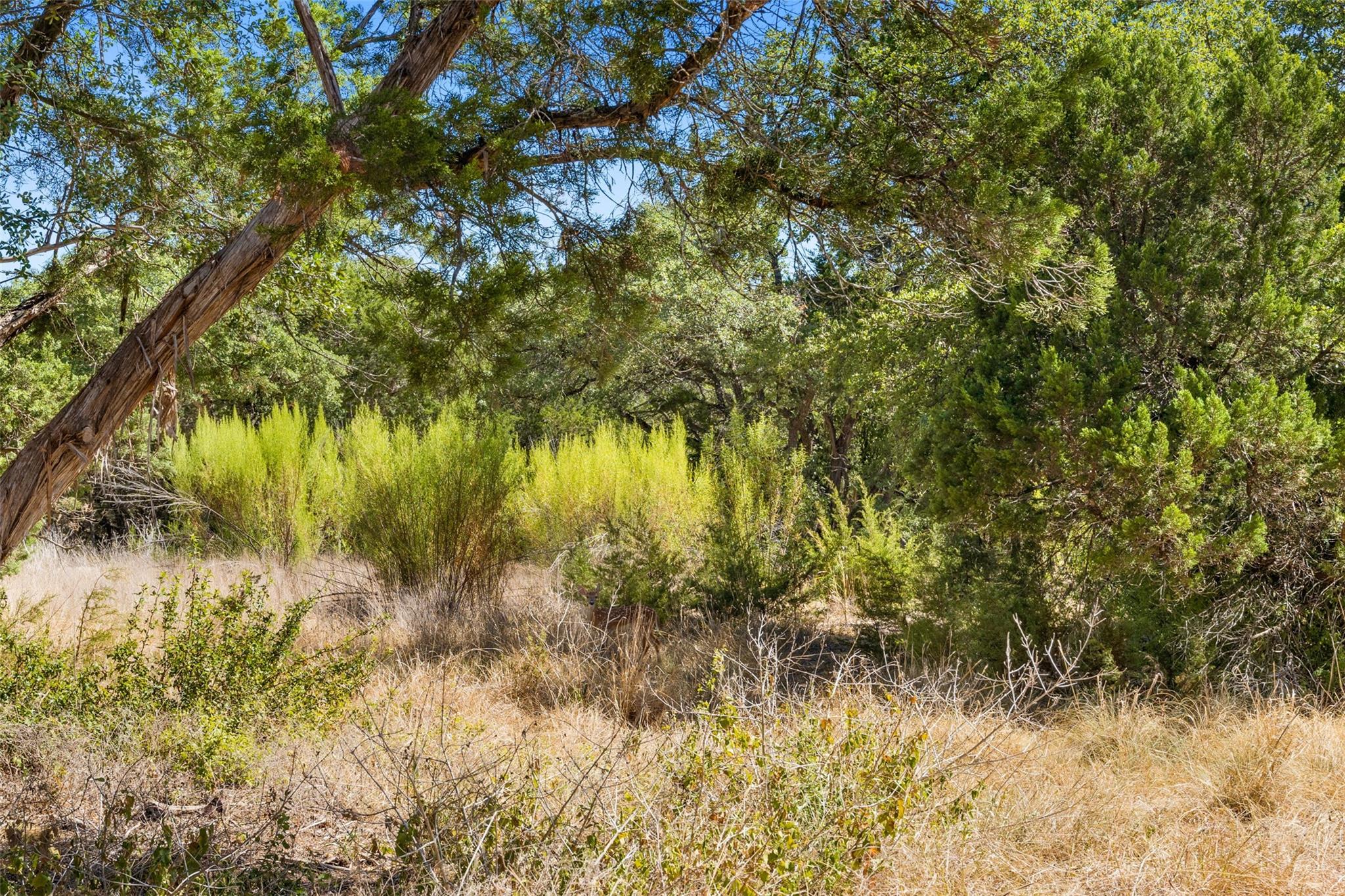 12049 Lincolnshire Dr, Austin, TX 78758