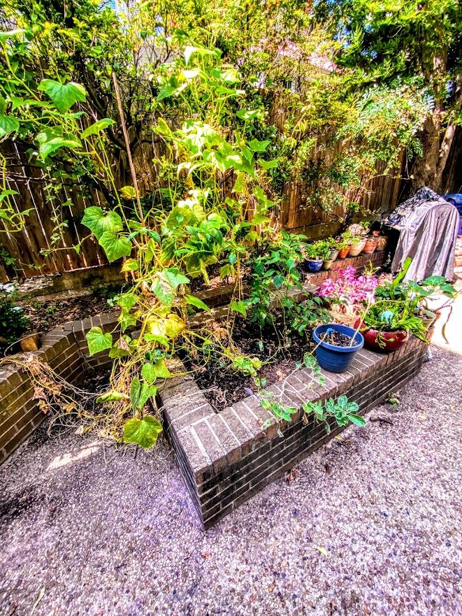 1808 Rio Grande St # 3, Austin, TX 78701