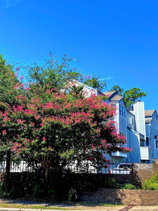 1808 Rio Grande St # 3, Austin, TX 78701