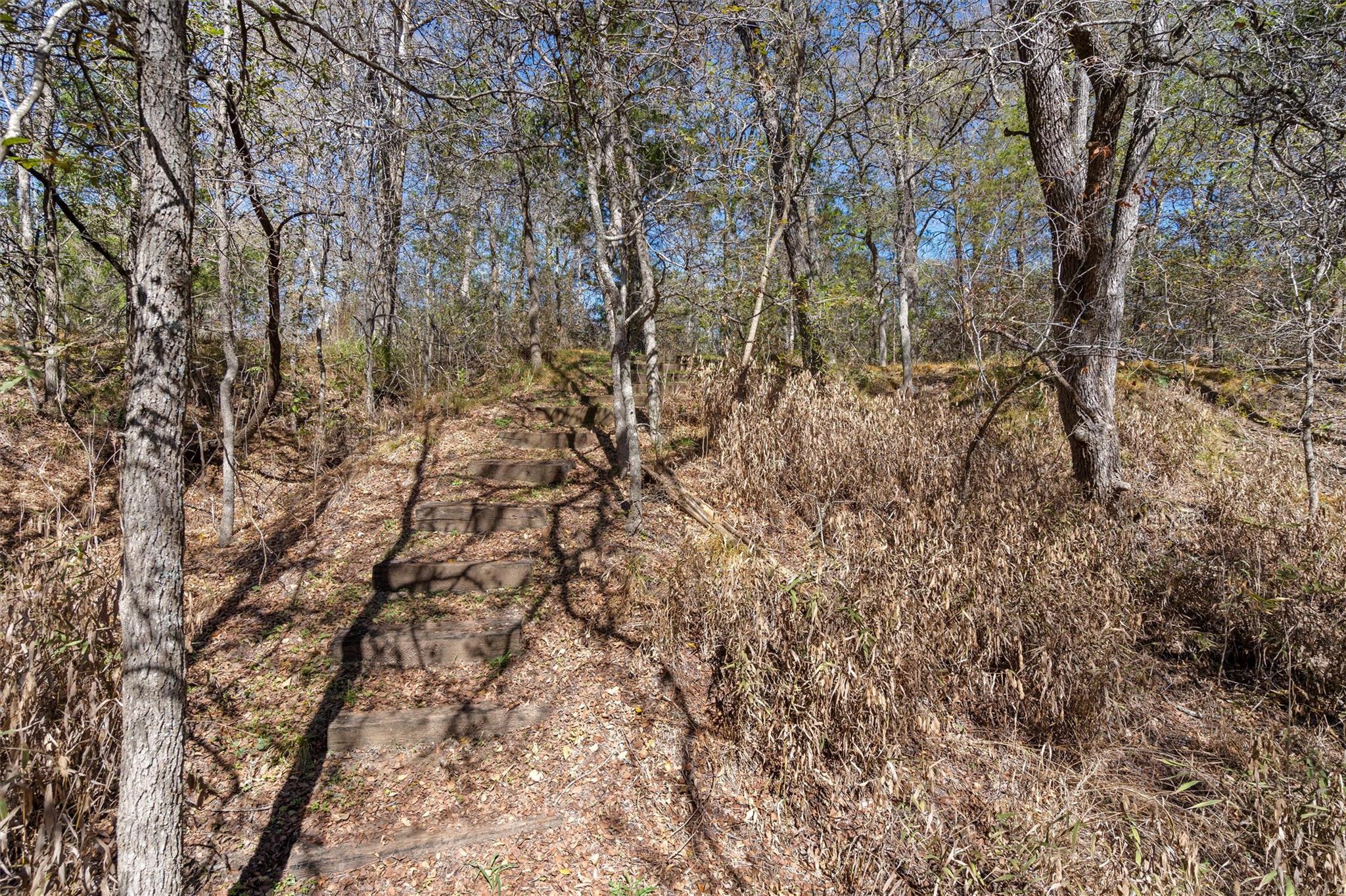 185 Billingsley Hts, Cedar Creek, TX 78612