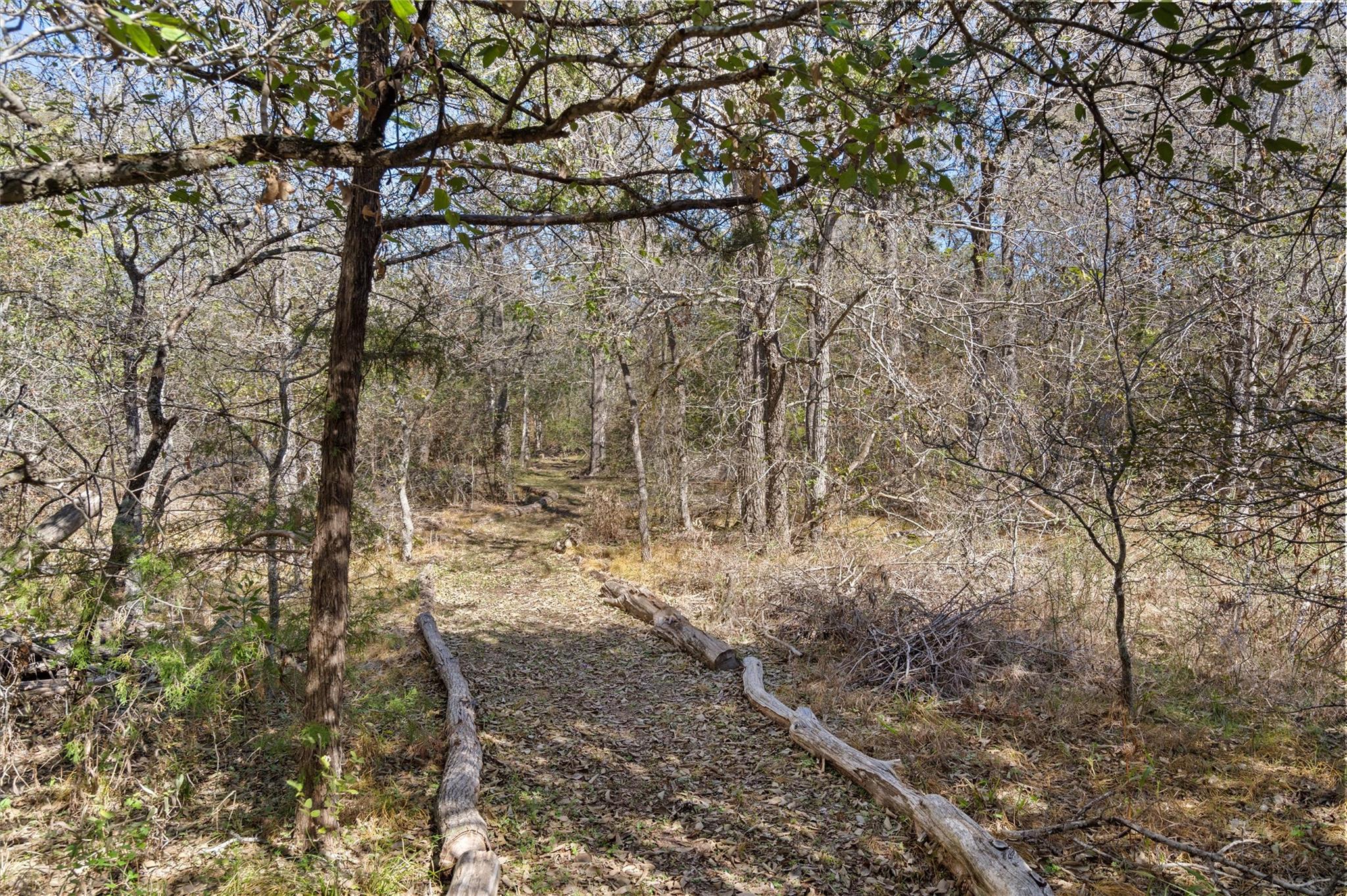 185 Billingsley Hts, Cedar Creek, TX 78612