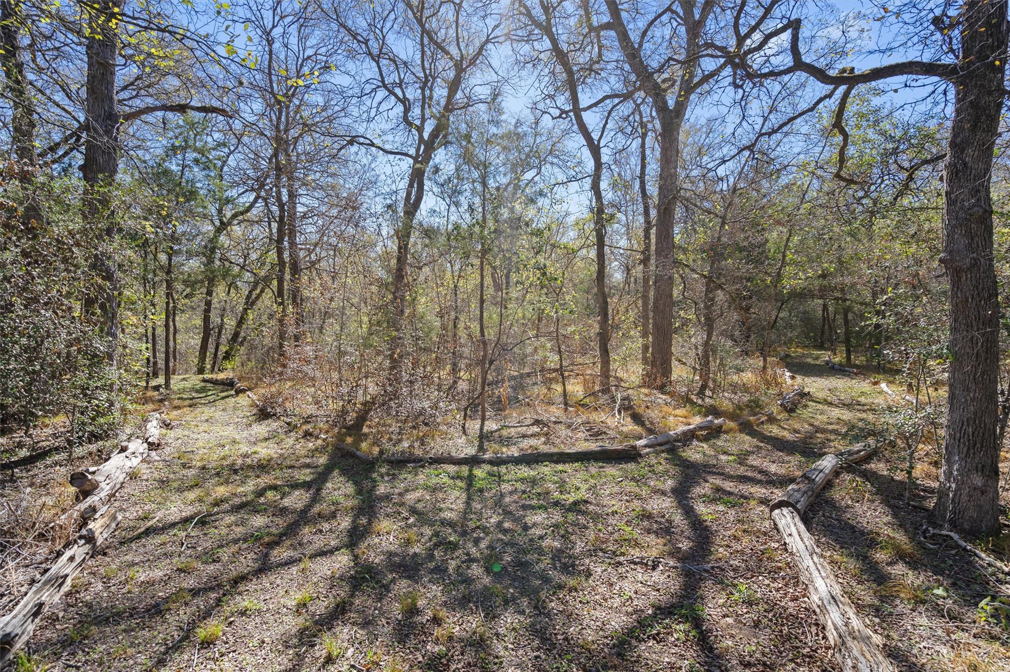 185 Billingsley Hts, Cedar Creek, TX 78612