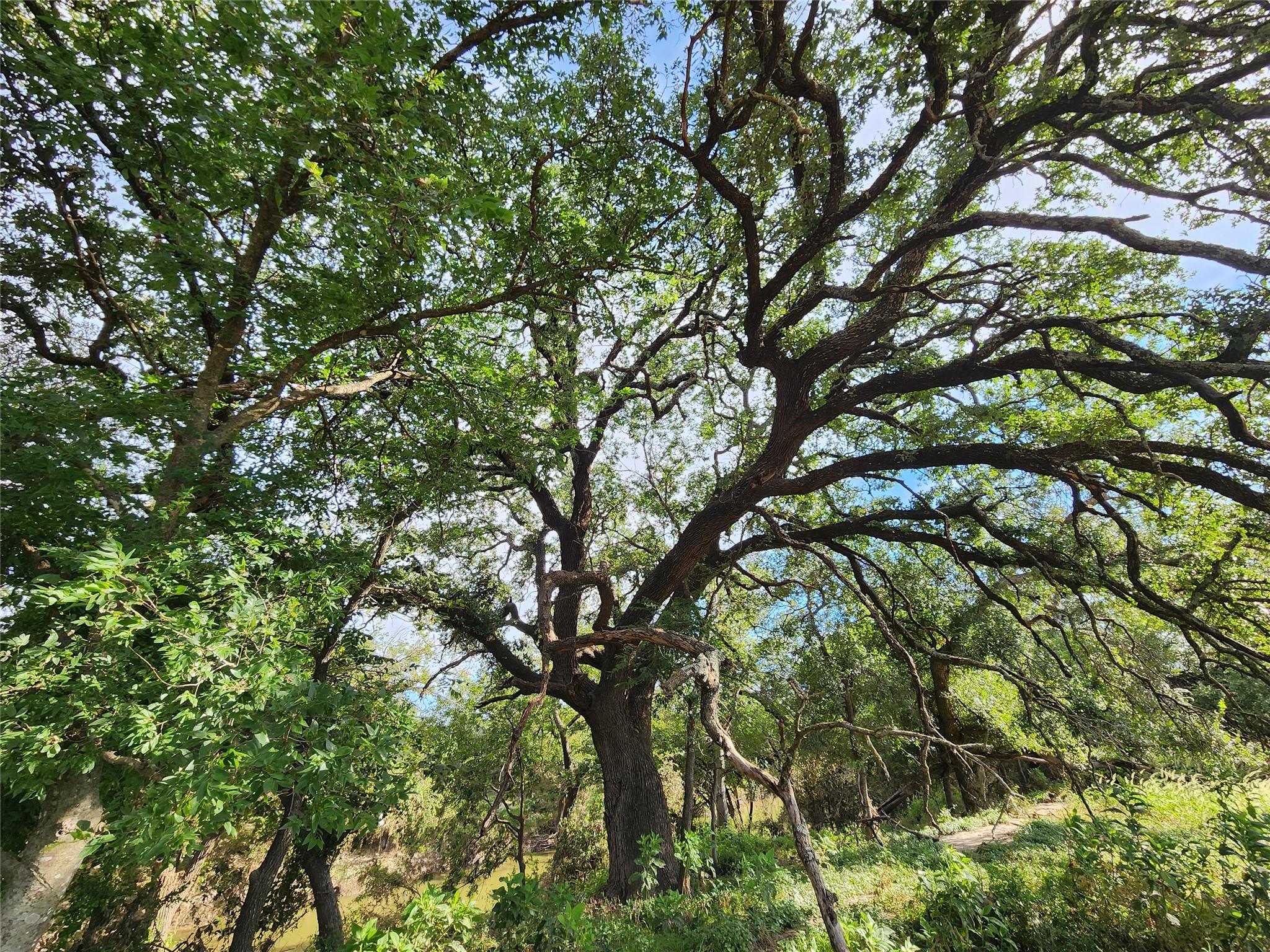 TBD 1480, San Saba, TX 76877