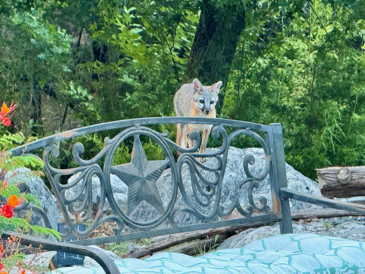 306 Tavish Trl, Austin, TX 78738