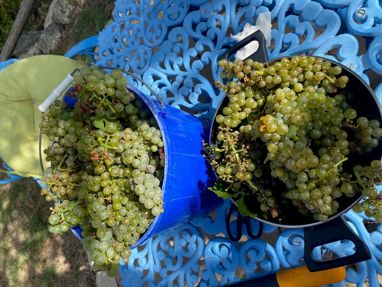 306 Tavish Trl, Austin, TX 78738