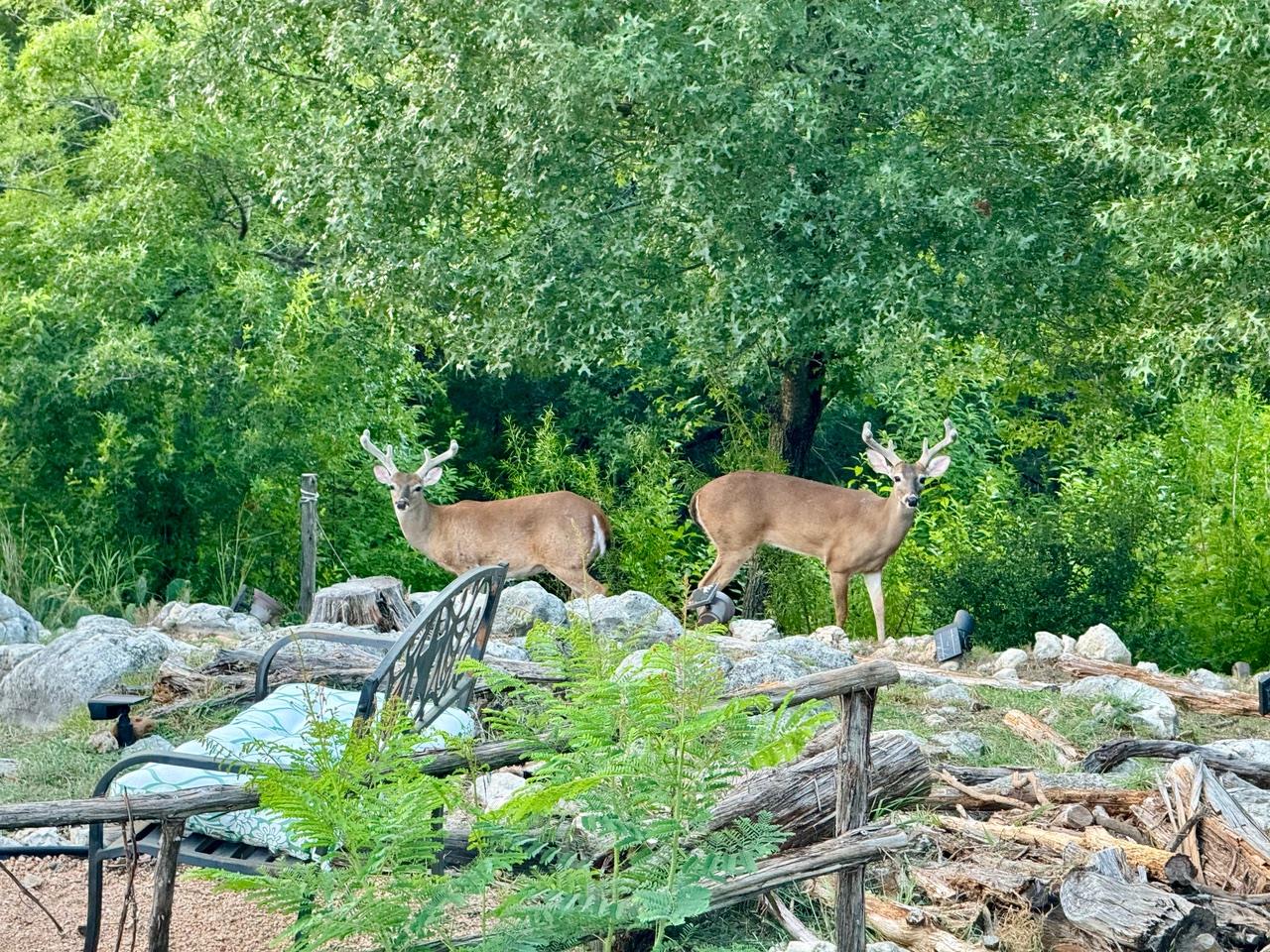 306 Tavish Trl, Austin, TX 78738