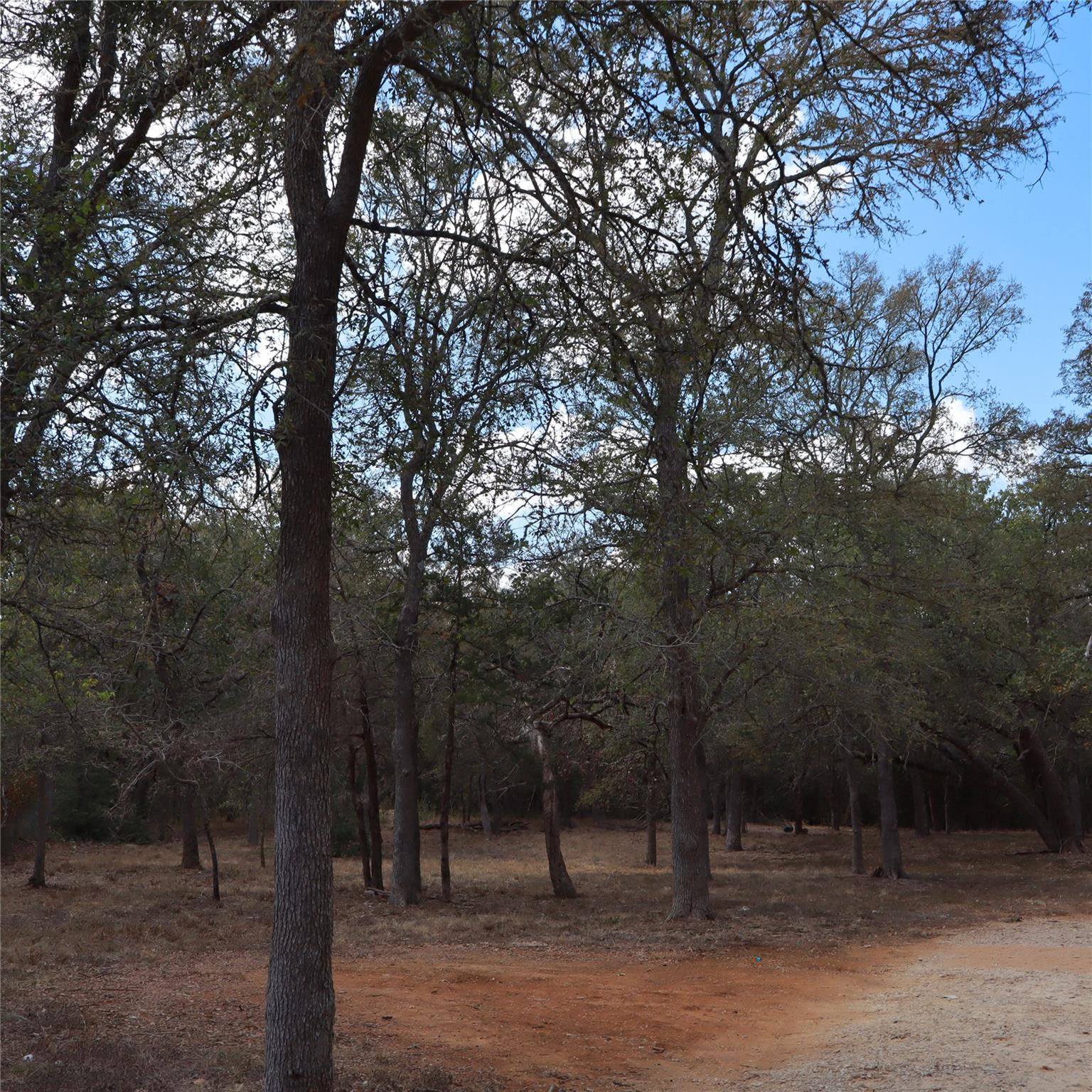 282 Texas Oak Dr, Cedar Creek, TX 78612