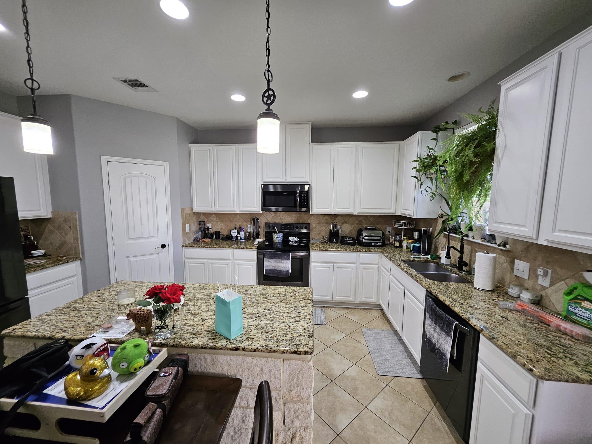 913 Water Hyacinth Loop, Leander, TX 78641