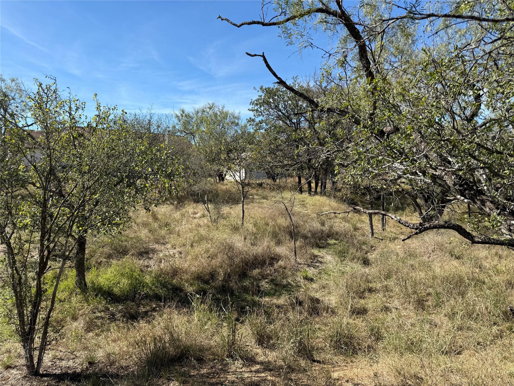 Lot 187 Longmont St, Kingsland, TX 78639