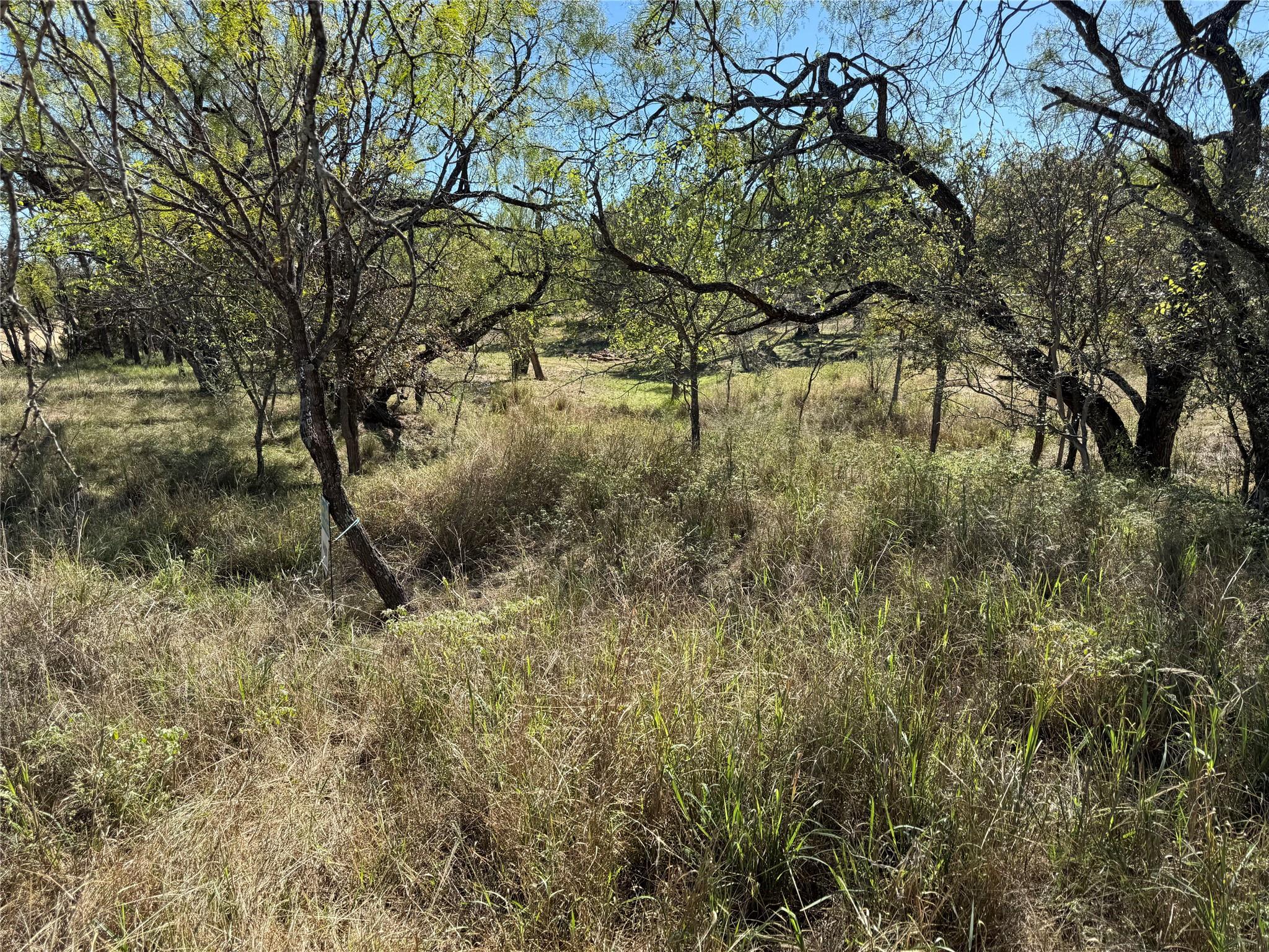Lot 187 Longmont St, Kingsland, TX 78639