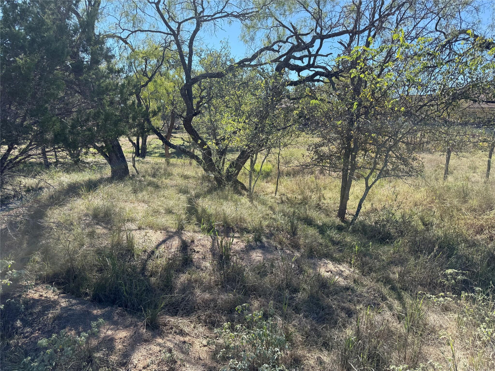 Lot 187 Longmont St, Kingsland, TX 78639