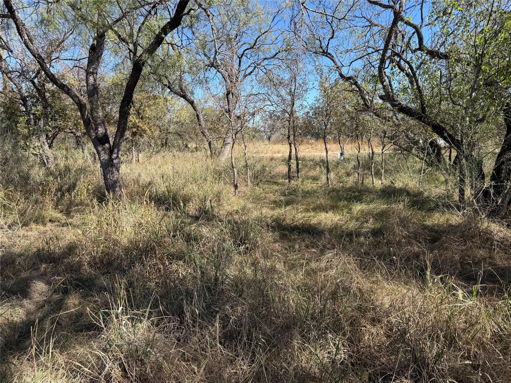 Lot 187 Longmont St, Kingsland, TX 78639