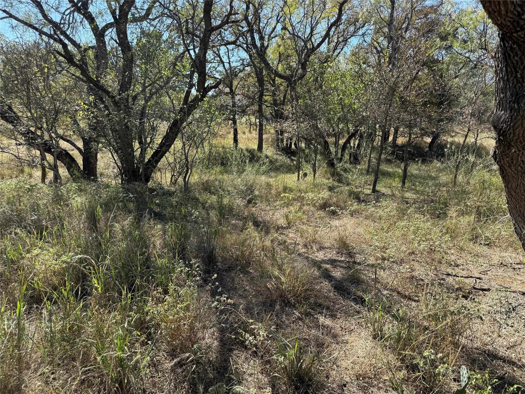 Lot 187 Longmont St, Kingsland, TX 78639