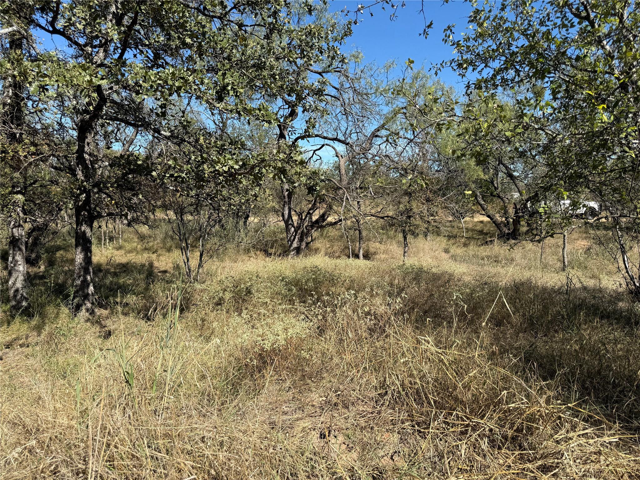 Lot 187 Longmont St, Kingsland, TX 78639