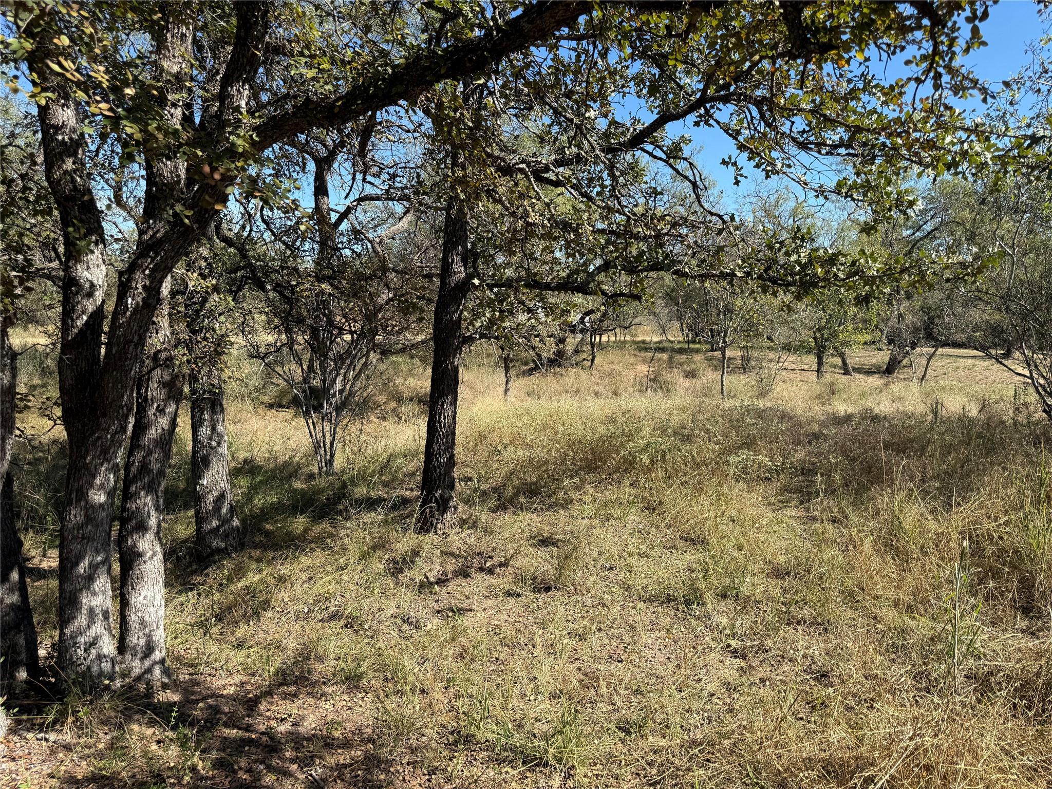 Lot 187 Longmont St, Kingsland, TX 78639