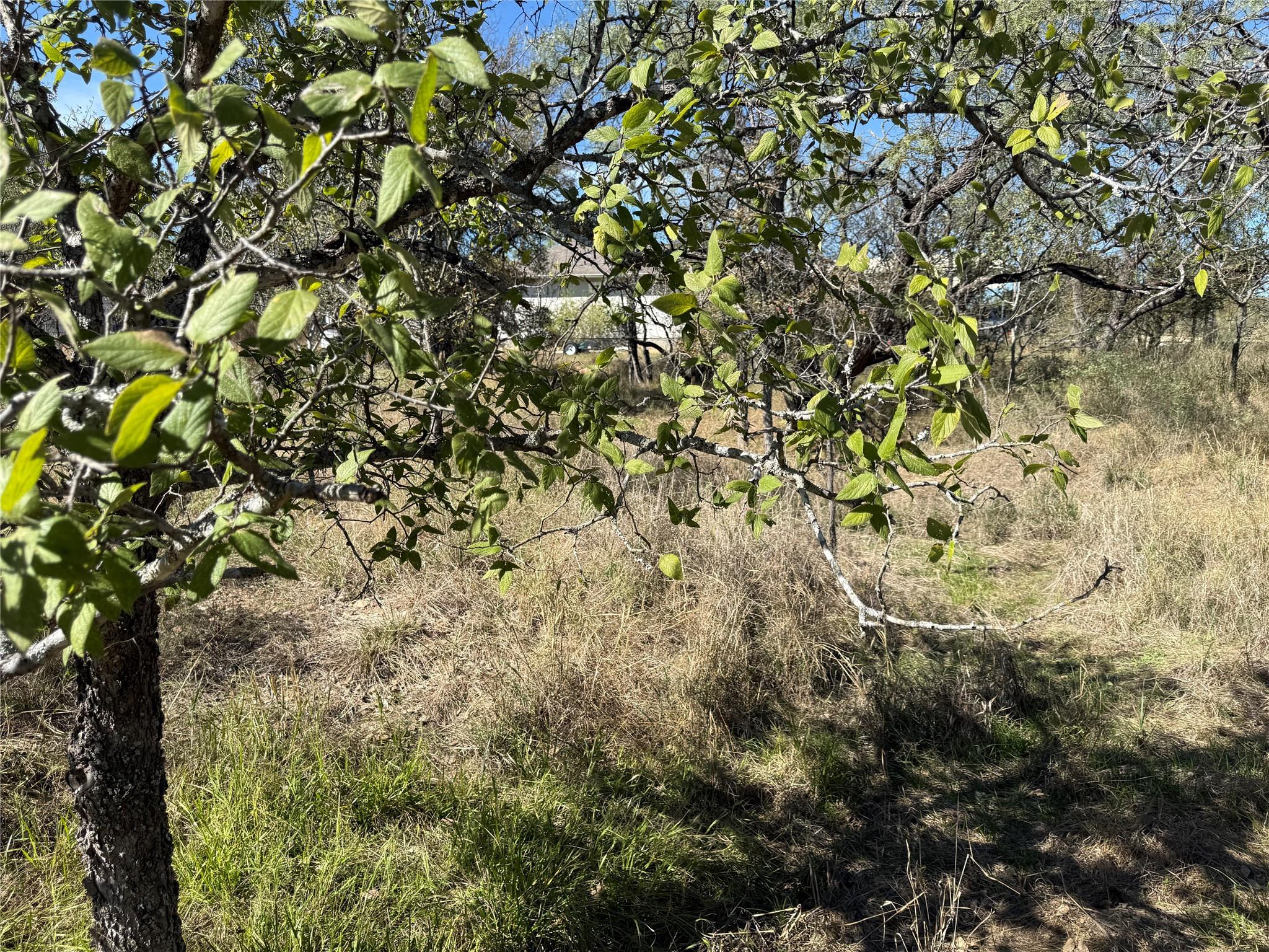 Lot 187 Longmont St, Kingsland, TX 78639