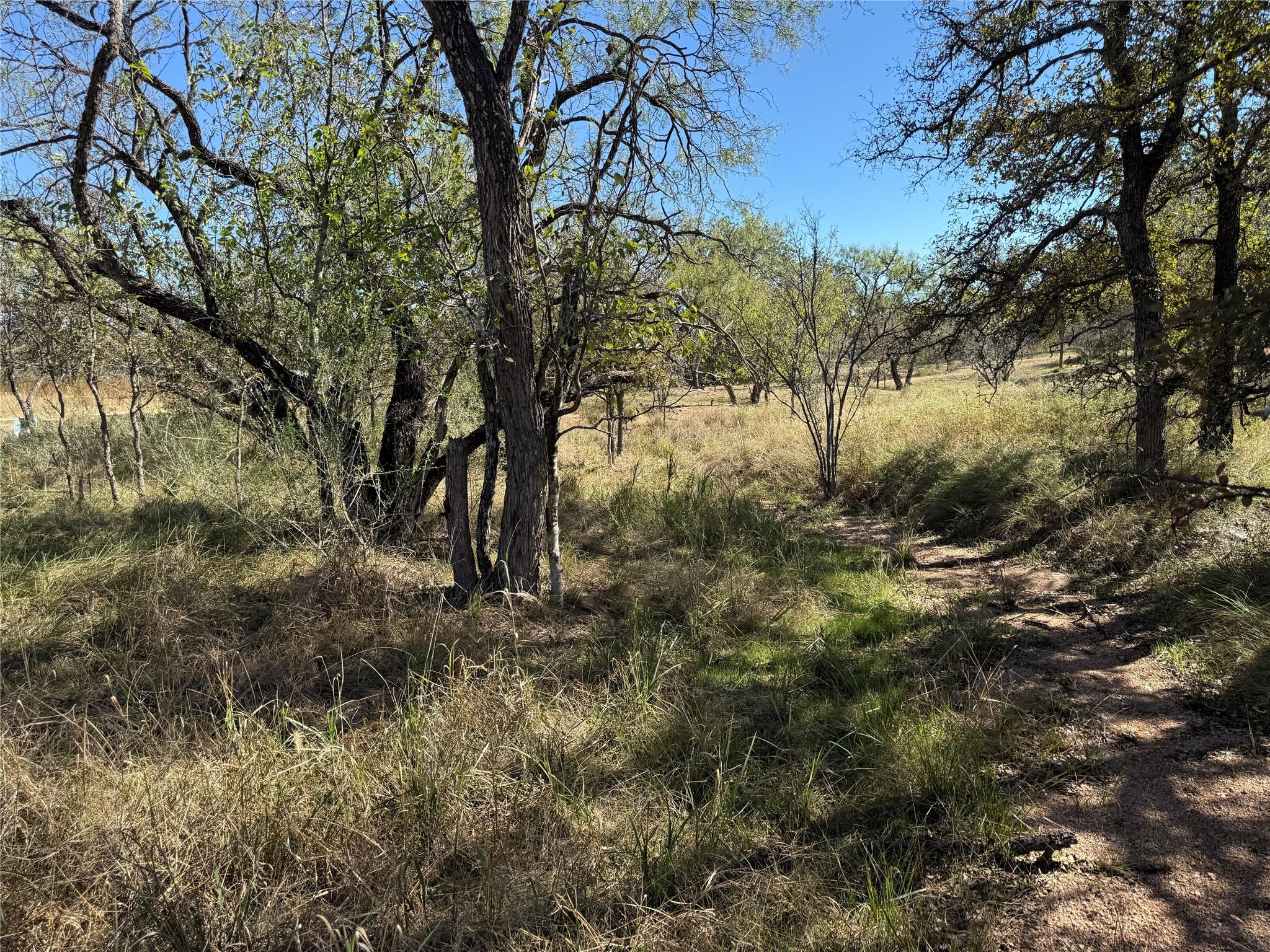 Lot 187 Longmont St, Kingsland, TX 78639