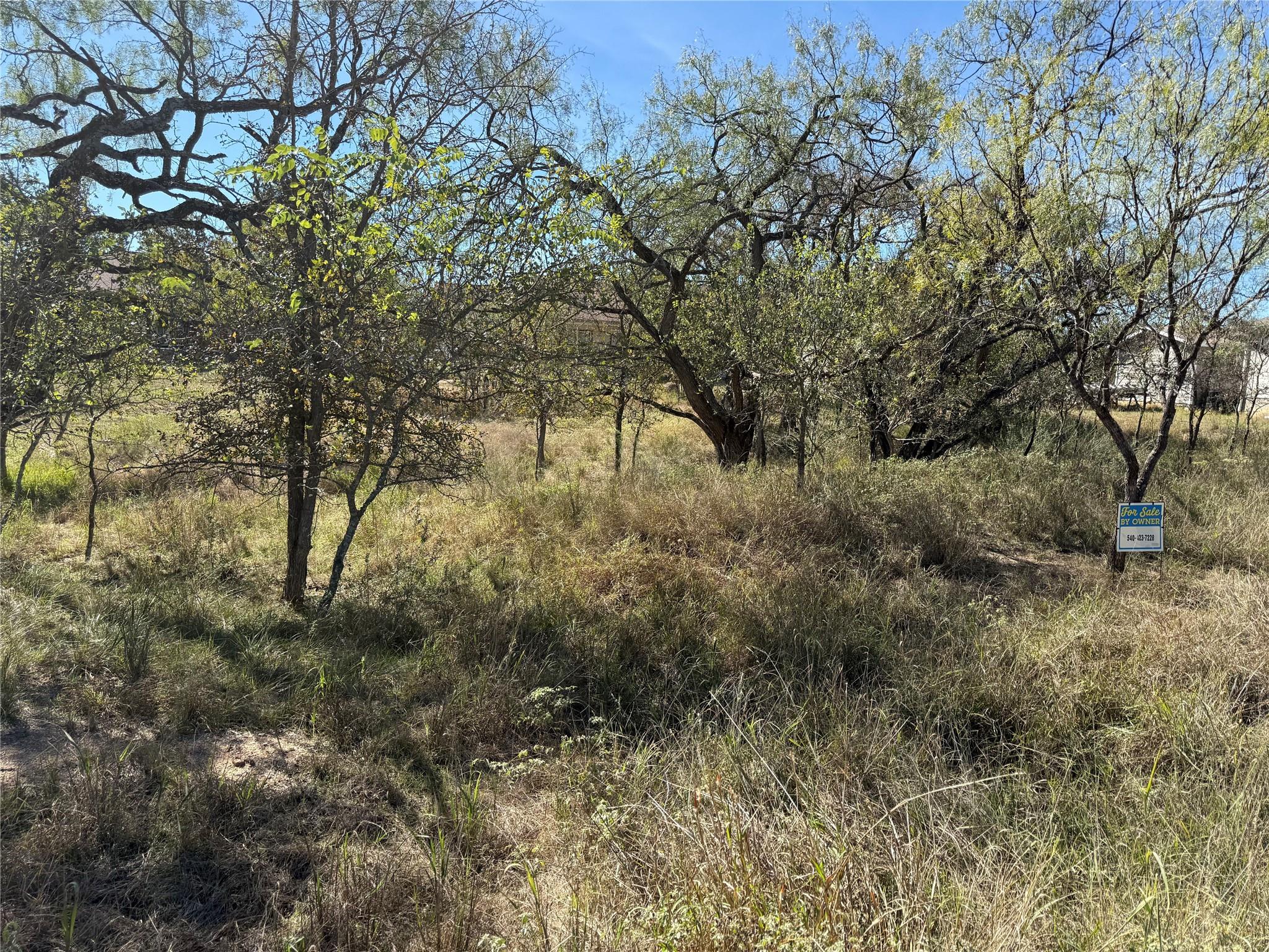 Lot 187 Longmont St, Kingsland, TX 78639