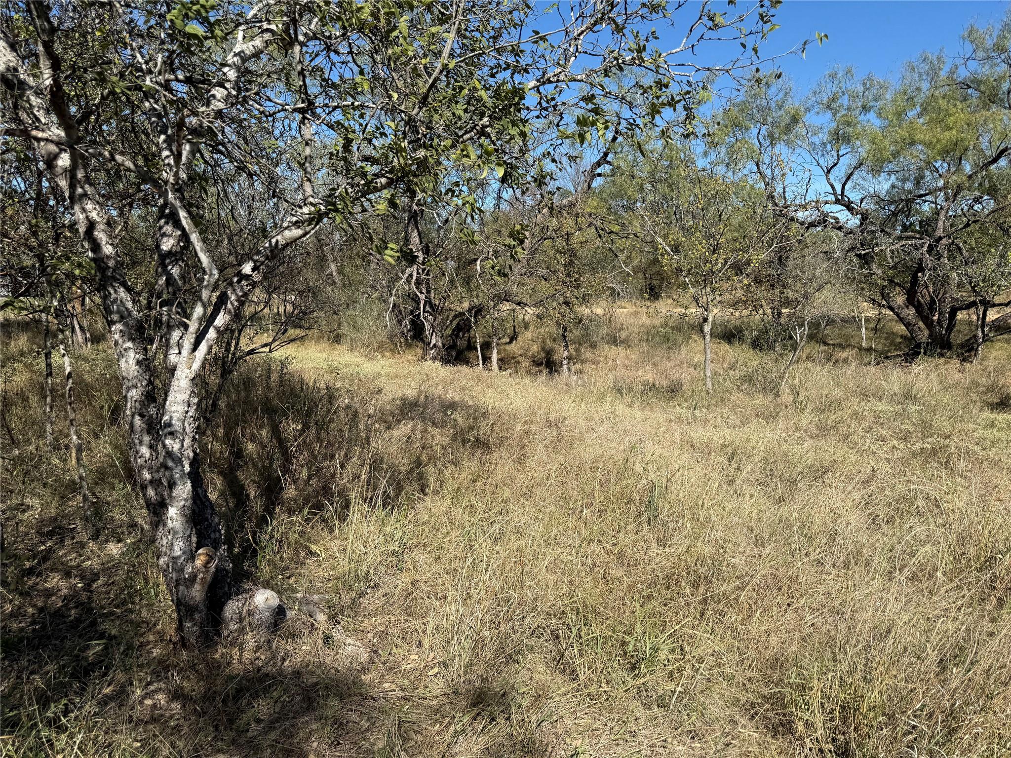 Lot 187 Longmont St, Kingsland, TX 78639