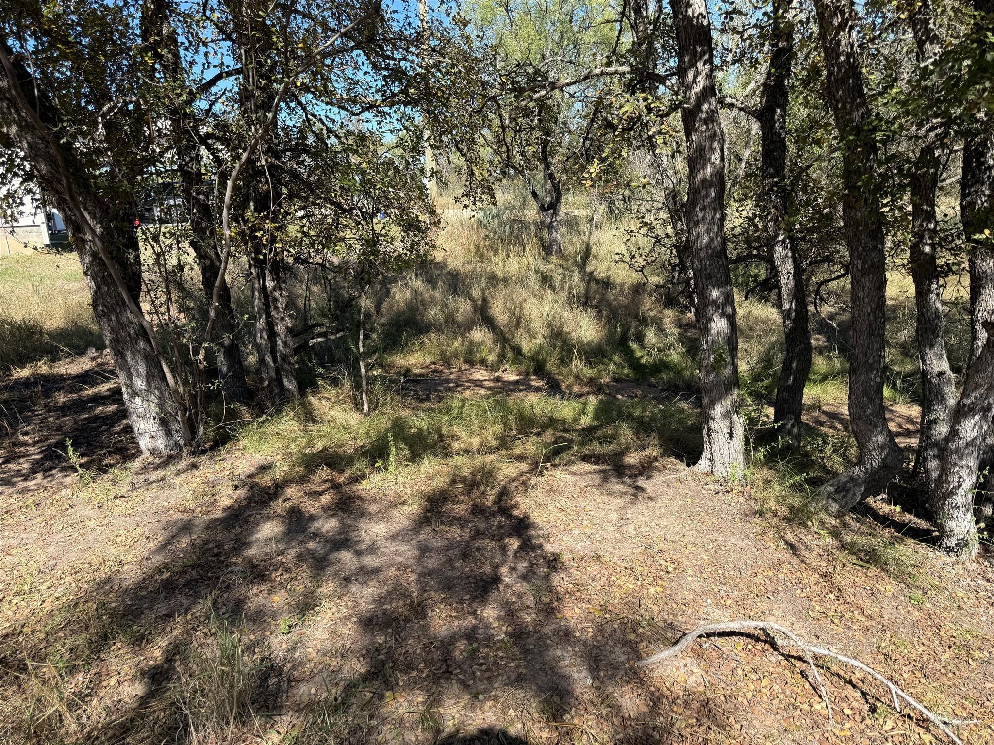 Lot 187 Longmont St, Kingsland, TX 78639