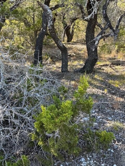 530 Lost Valley Rd, Dripping Springs, TX 78620