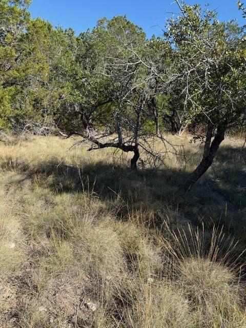 530 Lost Valley Rd, Dripping Springs, TX 78620