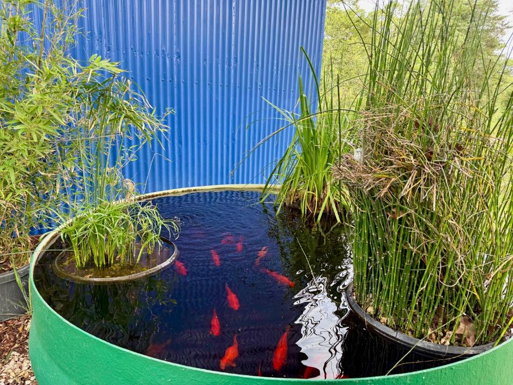 1411 County Road B, Lexington, TX 78947