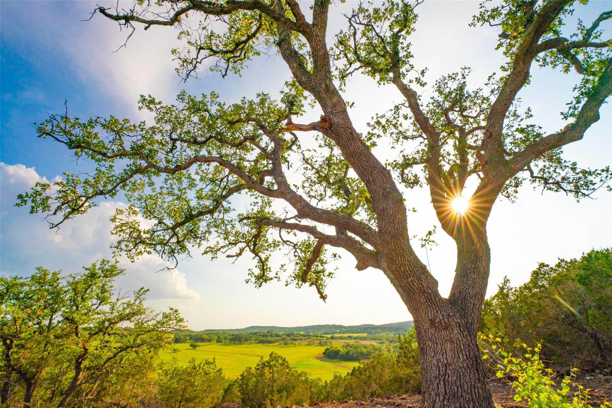 000 Spring Creek Ranch, Dripping Springs, TX 78676