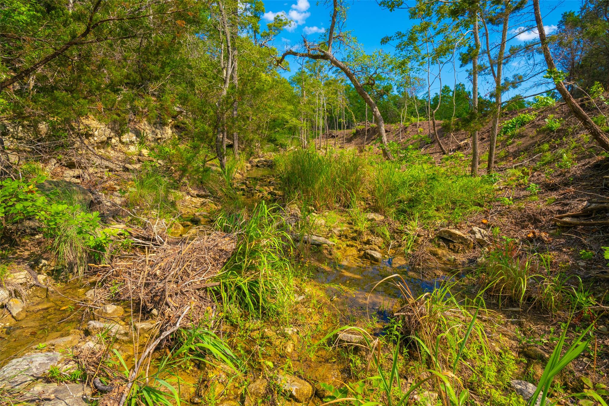 000 Spring Creek Ranch, Dripping Springs, TX 78676