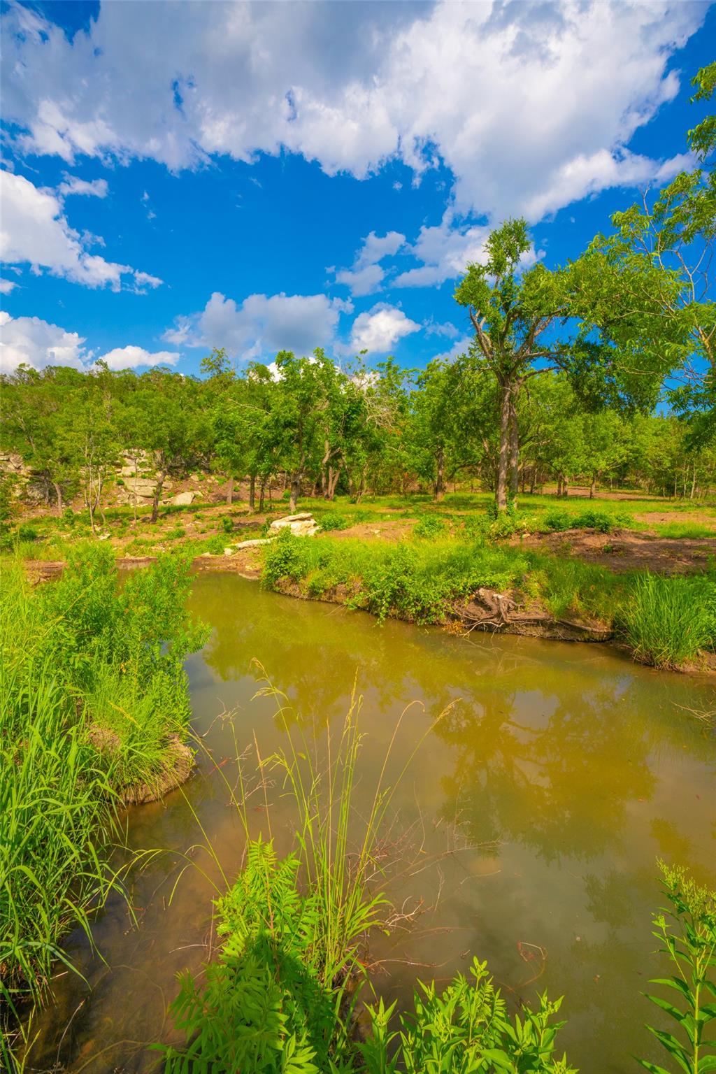 000 Spring Creek Ranch, Dripping Springs, TX 78676