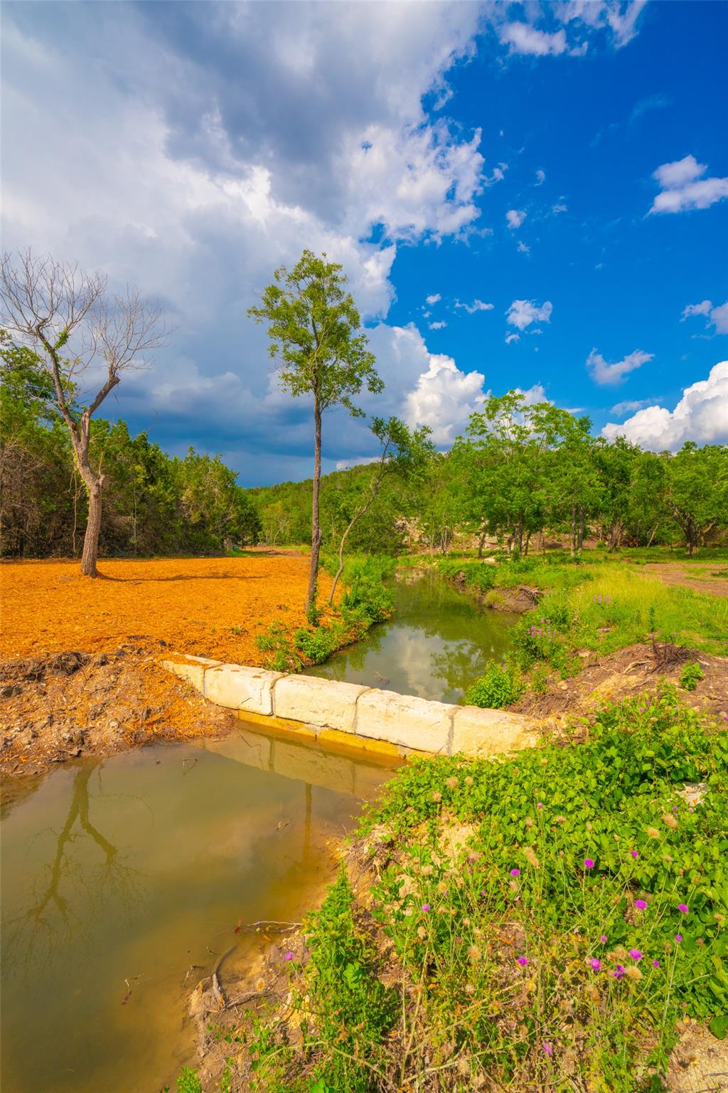000 Spring Creek Ranch, Dripping Springs, TX 78676